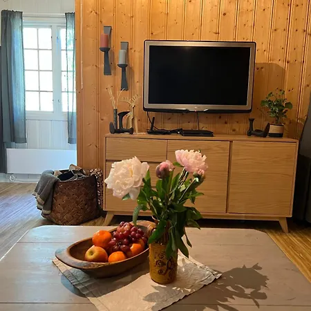 Newly Renovated Near Al Center, Mountains & *